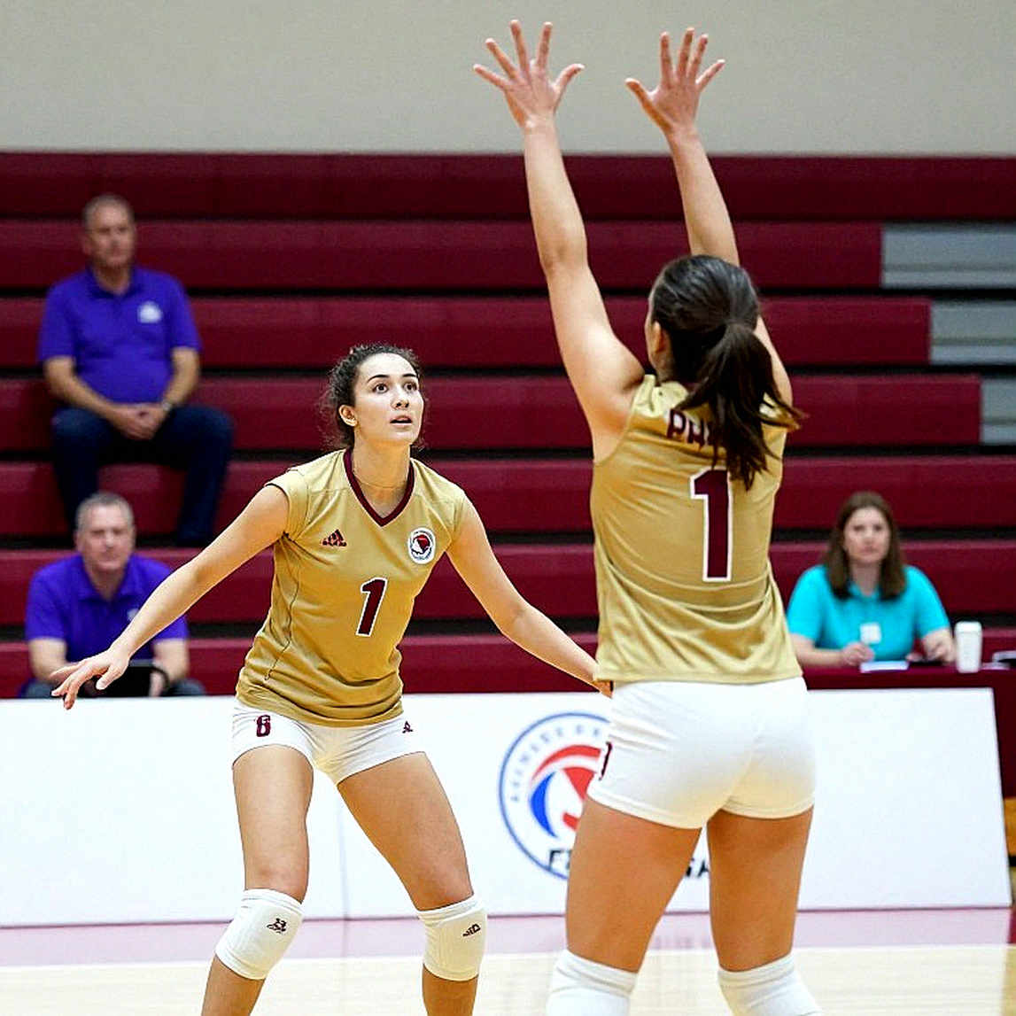 VfB Suhl Wins First German Women's Volleyball Supercup: Three Sets, Three Two-Point Margins and a Different Kind of Nerve VfB Suhl Wins First German Women's Volleyball Supercup: Three Sets, Three Two-Point Margins and a Different Kind of Nerve
