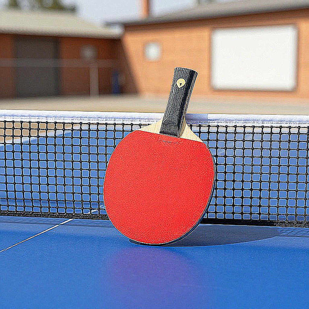 Chức vô địch U21 và cú ngã bán kết người lớn: Khoảng cách thật của Matilde Pinto tại Belgium Open 2026