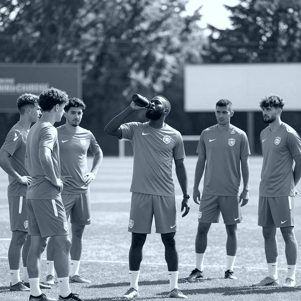 When a Singer Landed in a Football Data File: What a Misclassification Reveals When a Singer Landed in a Football Data File: What a Misclassification Reveals